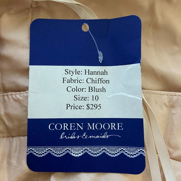 Coren Moore Hannah Chiffon Dress Blush Pink Size 10 NWT - Picture 7 of 7